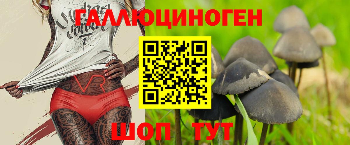 Псилоцибиновые грибы GOLDEN TEACHER  Вход с VPN  Будённовск 