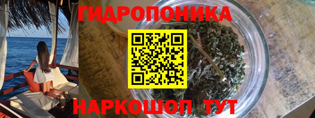 Будённовск  Канабис сатива  Каннабис тримм  Вход с VPN  Бошки Шишки семена 